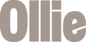 Ollie brand dog food delivery